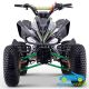 ATV QUAD PANTERA 110CC AUTOMÁTICO R8 de gasolina para niños