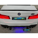BMW M5 24V MP4 2.4G SX2118