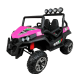 BEACH BUGGY 24V 2 PLAZAS Mando 2.4G