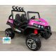 BEACH BUGGY 24V 2 PLAZAS Mando 2.4G