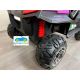 BEACH BUGGY 24V 2 PLAZAS Mando 2.4G