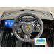 LAMBORGHINI SIAN 12V 2.4G 