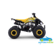 ATV QUAD de gasolina para niños ZXT 125CC Automático