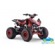 ATV QUAD de gasolina para niños ZXT 125CC Automático