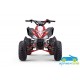 ATV QUAD de gasolina para niños ZXT 125CC Automático