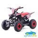 Mini Quad de gasolina para niños RATTE R6 49CC