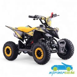 Mini Quad de gasolina para niños RATTE R6 49CC