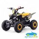 Mini Quad de gasolina para niños RATTE R6 49CC
