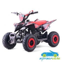 Mini Quad de gasolina para niños RATTE R6 49CC