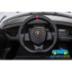 LAMBORGHINI VENENO 4X4 12V 2 Plazas 2.4G