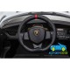 LAMBORGHINI VENENO 4X4 12V 2 Plazas 2.4G