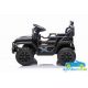 Todoterreno Eléctrico Para Niños OFFROAD SUPER 12V Mando 2.4G Batería Litio