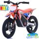 Moto eléctrica para niños WARRIOR 36V 350W MX-E350 Litio 14''