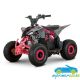 MINIQUAD PARA NIÑOS RATTE R6 110CC AUTOMÁTICO GASOLINA