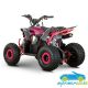 MINIQUAD PARA NIÑOS RATTE R6 110CC AUTOMÁTICO GASOLINA