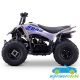 MINIQUAD PARA NIÑOS DAKAR 110CC R7 AUTOMÁTICO GASOLINA