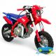 Pit bike de gasolina para niños THUNDER 70CC automático 4 tiempos 10''