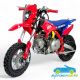 Pit bike de gasolina para niños THUNDER 70CC automático 4 tiempos 10''