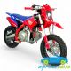 Pit bike de gasolina para niños THUNDER 90CC automático 4 tiempos 12'