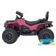 Mini Quad Eléctrico Infantil CAN-AM Outlander 24V 4x4 2 Plazas
