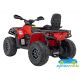 Mini Quad Eléctrico Infantil CAN-AM Outlander 24V 4x4 2 Plazas