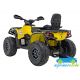 Mini Quad Eléctrico Infantil CAN-AM Outlander 24V 4x4 2 Plazas