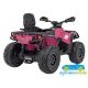 Mini Quad Eléctrico Infantil CAN-AM Outlander 24V 4x4 2 Plazas