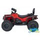 Mini Quad Eléctrico Infantil CAN-AM Outlander 24V 4x4 2 Plazas