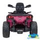 Mini Quad Eléctrico Infantil CAN-AM Outlander 24V 4x4 2 Plazas