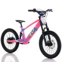 Bicicleta eléctrica sin pedales RXF EVO 36V 750W 20''