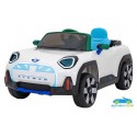 COCHE ELÉCTRICO INFANTIL MINI ACEMAN 24V 4X4