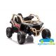 Buggy eléctrico para niños KAWASAKI TERYX KRX1000 4x4 24V