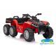 Quad eléctrico infantil SPORT TRX 24V 2x6 con mando 2.4G – ATV para niños