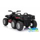 Quad eléctrico infantil SPORT TRX 24V 2x6 con mando 2.4G – ATV para niños