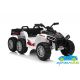 Quad eléctrico infantil SPORT TRX 24V 2x6 con mando 2.4G – ATV para niños