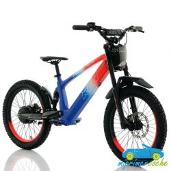Bicicleta eléctrica sin pedales RFN EVO 36V 750W 20''