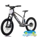Bicicleta eléctrica sin pedales RXF EVO 36V 750W 20''
