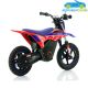 Moto eléctrica para niños WARRIOR RFN 36V250W SX-E250 12''