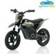 Moto eléctrica para niños WARRIOR RFN 36V250W SX-E250 12''