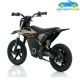 Moto eléctrica para niños WARRIOR RFN 36V250W SX-E250 12''