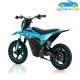 Moto eléctrica para niños WARRIOR RFN 36V250W SX-E250 12''