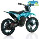 Moto eléctrica para niños WARRIOR RFN 36V350W SX-E350 14''