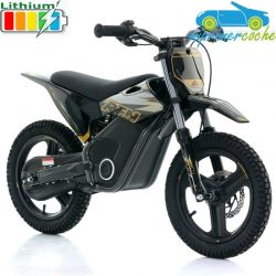 Moto eléctrica para niños WARRIOR RFN 36V350W SX-E350 14''