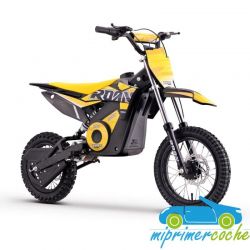 Minicross eléctrica para niños E901 36V 800W 12/10''