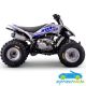 Quad Gasolina Dakar 300CC Manual R-1-2-3-4 R10