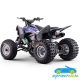 Quad Gasolina Dakar 300CC Manual R-1-2-3-4 R10