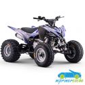 Quad Gasolina Dakar 300CC Manual R-1-2-3-4 R10