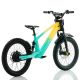 Bicicleta eléctrica sin pedales RFN EVO 36V 750W 20''