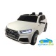 AUDI Q5 24V 4X4 2 PLAZAS mando 2.4G