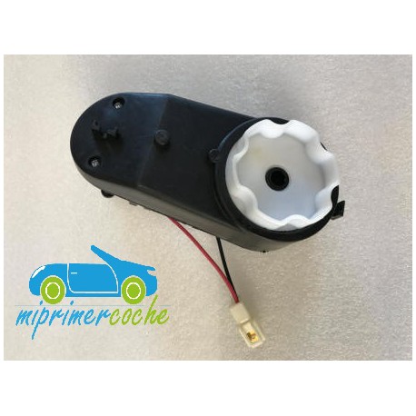 Motor y engranaje Dirección 24v